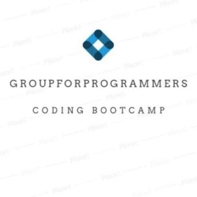 Programmer