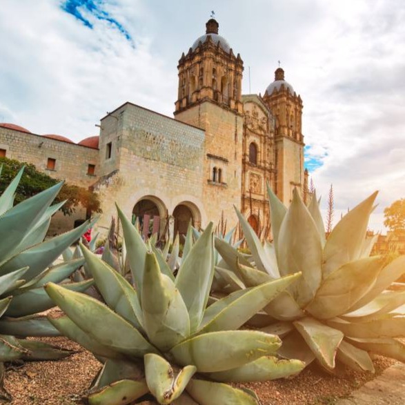 Oaxaca Expats & Nomads